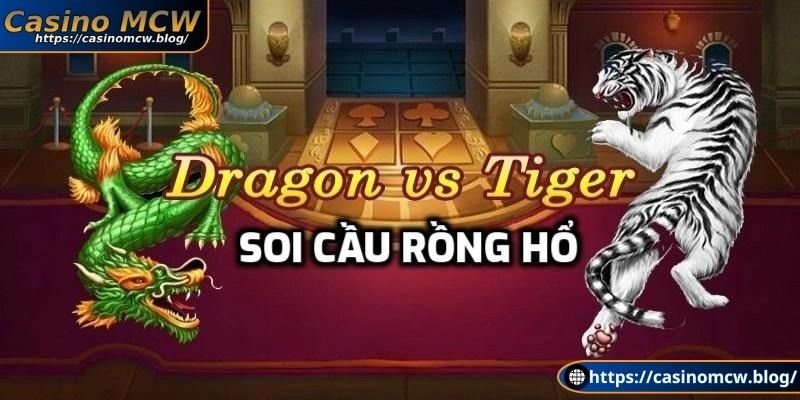 Khái niệm soi cầu rồng hổ