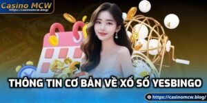 Thông tin cơ bản về xổ số Yesbingo